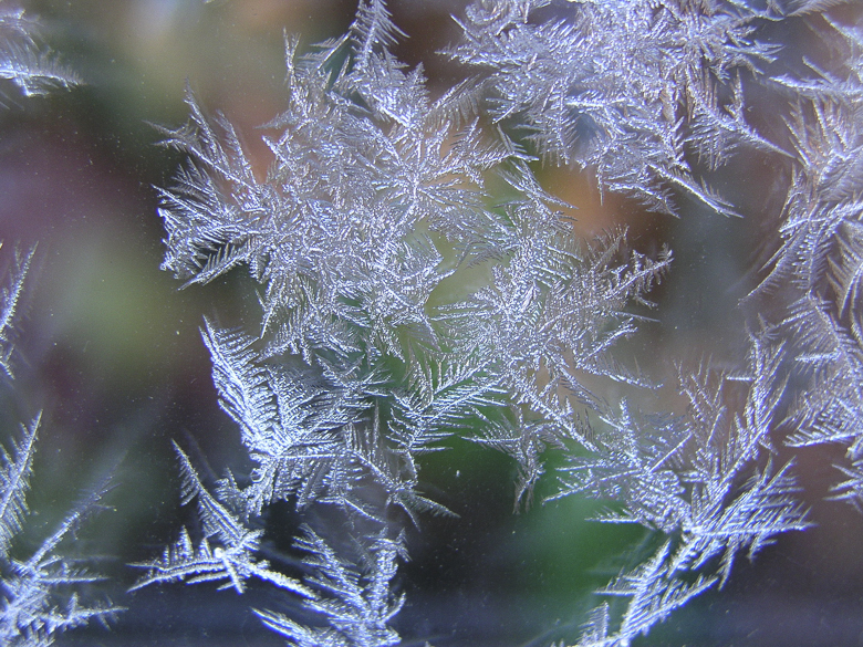 Eisblumen am Fenster